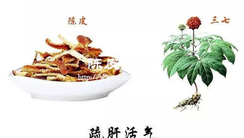 三七陈皮茶