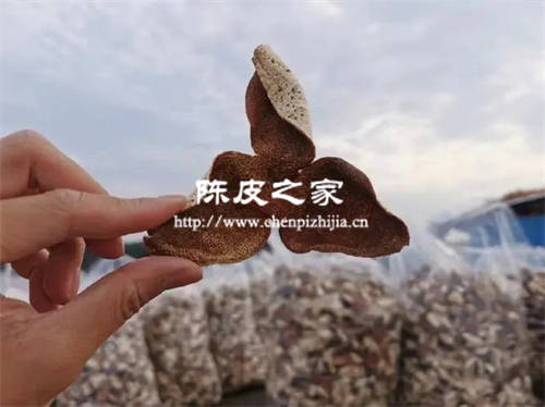 不同年份的陈皮可以放在一起吗