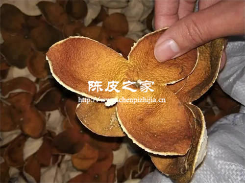 脾胃虚寒可以吃陈皮吗