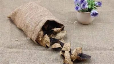 蒲公英玫瑰花陈皮山楂一起能泡水喝吗