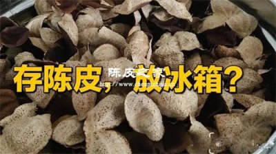 新会陈皮放进冰箱急冻好吗