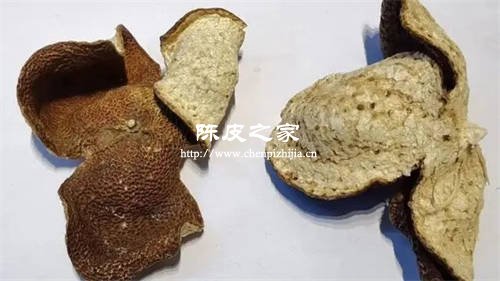 不同年份陈皮的气味和口感有什么区别