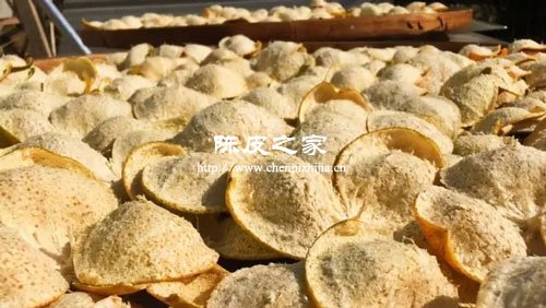 陈皮到底是用什么做的茶叶