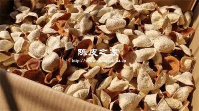 中医陈皮是橘子皮吗