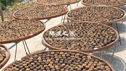 新会小青柑普洱茶多少钱一斤