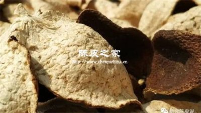 冬季陈皮和什么搭配泡水喝