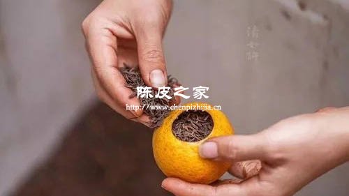 陈皮能和茶一起泡着喝吗