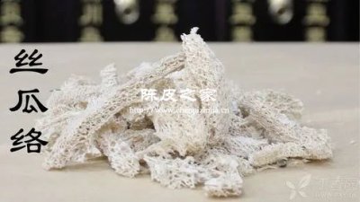 丝瓜络陈皮煮水好不好