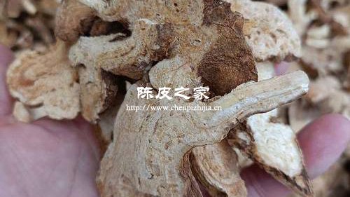 白术陈皮泡水喝的功效禁忌