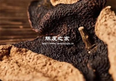 陈皮的价格为什么逐年升高
