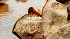鲜橘皮与陈皮的区别是什么