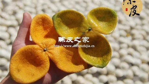 陈皮山楂金银花菊花鸡内金泡水功效