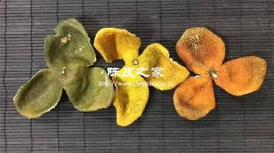 可以去药店买陈皮泡水喝吗