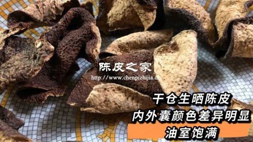 陈皮放几年就可以入药