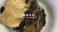 什么煮茶方法最适合陈皮白茶