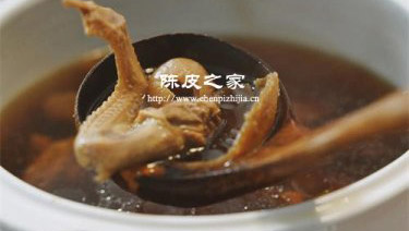 陈皮红枣白鸽汤的做法