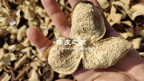 罗汉果菊花金银花陈皮茶可以天天喝吗