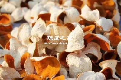 陈皮的白瓤有什么功效作用