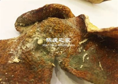 发霉的陈皮可以拿来泡脚吗