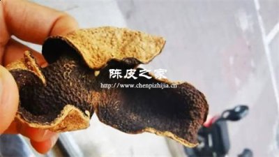 不同年限的陈皮分别在什么温度下储存呢