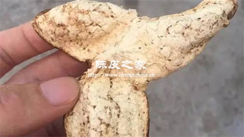 橘枳姜汤里的橘皮用自己凉干的橘子皮行不