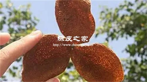 白术陈皮麦牙三味药可以一块泡水喝吗