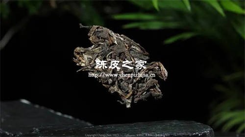 普洱生茶好还是熟茶好