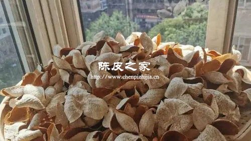 煮的陈皮能不能吃