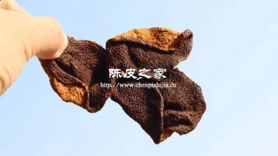 真正的新会陈皮都是三瓣吗
