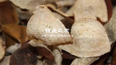 晾干的橘子皮能吃吗