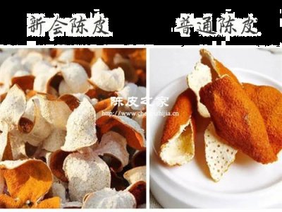 陈皮是用什么品种橘子皮做的
