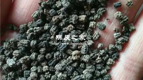 竹茹蚕沙陈皮的功效