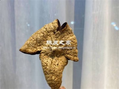 中药陈皮是什么东西