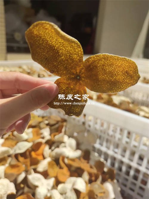 新会陈皮的红皮和青皮哪种好