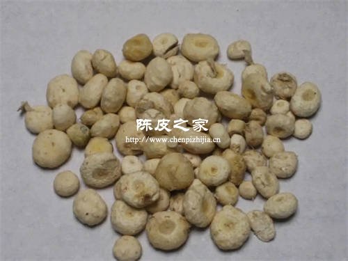 新会陈皮不能配什么药才用