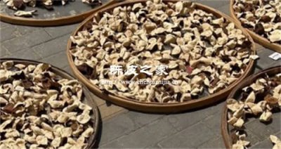 自家晒的陈皮与药店的陈皮有什么区别