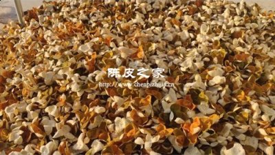 陈皮5年以后要经常晒吗