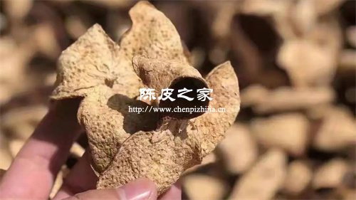 蒸橘子皮需要多少时间