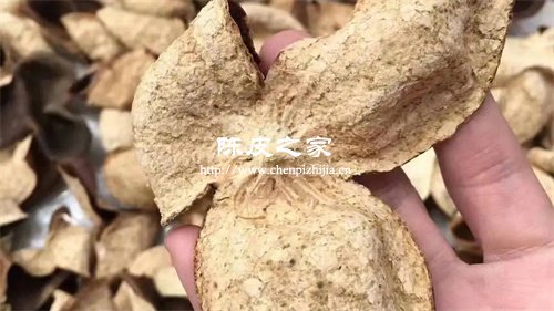 蒸橘子皮需要多少时间