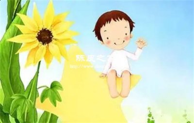 黄芪当归大枣羊肉汤还能放陈皮和枸杞吗