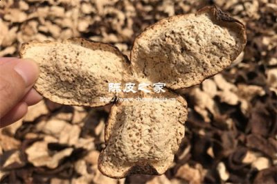 荷叶陈皮山楂绞股蓝一起泡水喝的功效