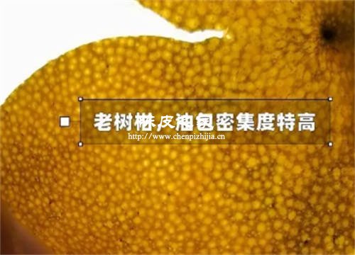 新会陈皮油包是什么样子的 油包起什么作用