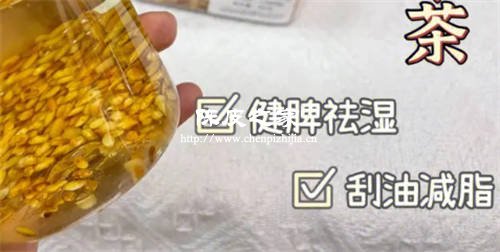 大米生姜陈皮炒熟泡水喝有什么功效吗