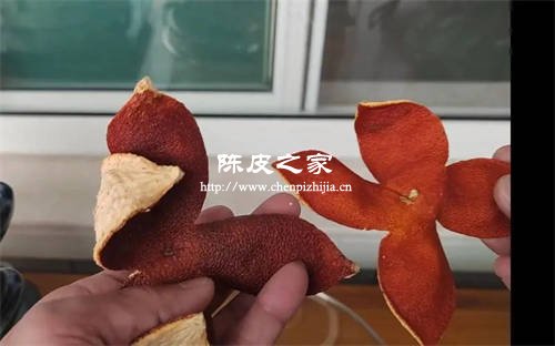 藏陈皮在旁边放什么东西可以预防虫子