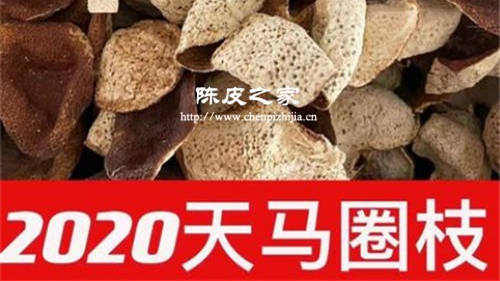 新会陈皮东甲陈皮和天马陈皮哪个好