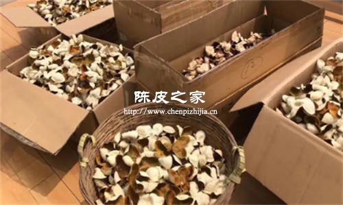 新的陈皮用什么野装才适合