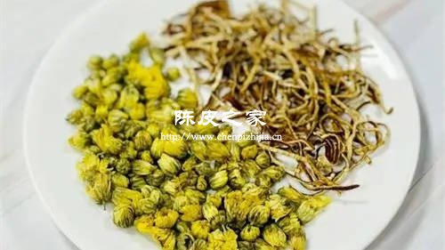 陈皮和白菊一起还是和黄菊一起喝效果好