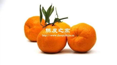 丑橘皮能代替陈皮用吗