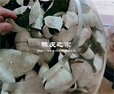 放在家里的陈皮过了保质期还能吃吗