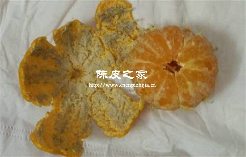 橘子皮长毛还能成为陈皮吗